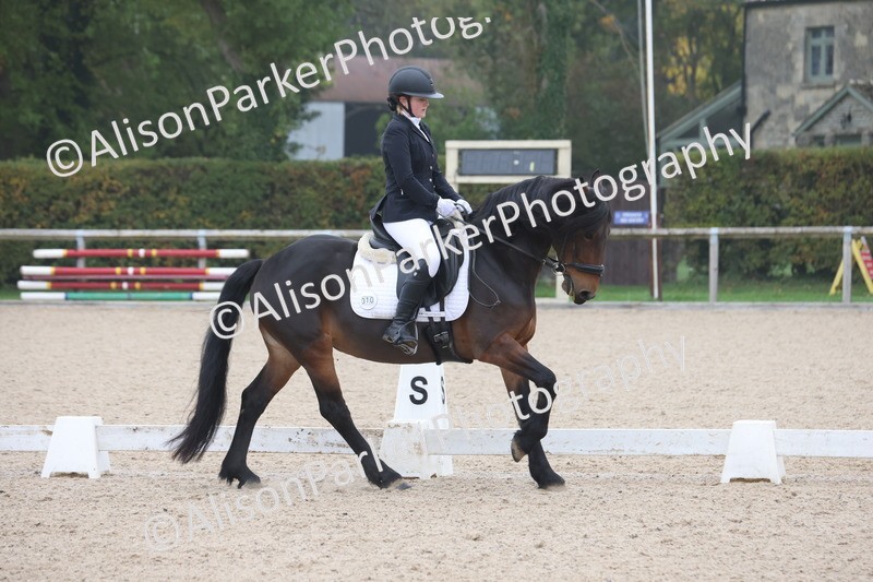 20251012-0436 - Class 3 - Novice 5