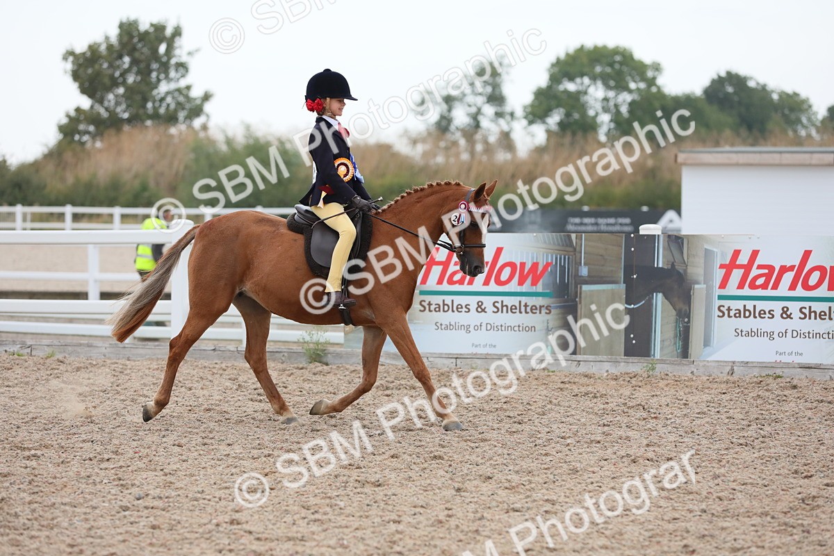 SBM_18268 - Class 316 Best Pony/Rider Combination
