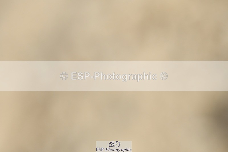 230623-143037-01001 - Cls 5 Elementary 43