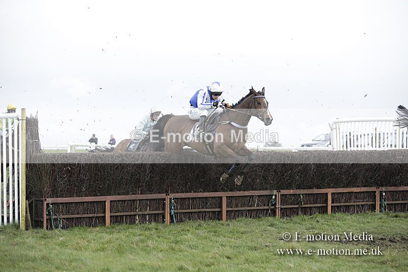 PtP 150320 0579 - New Forest Point-to-Point Larkhill 15/03/20