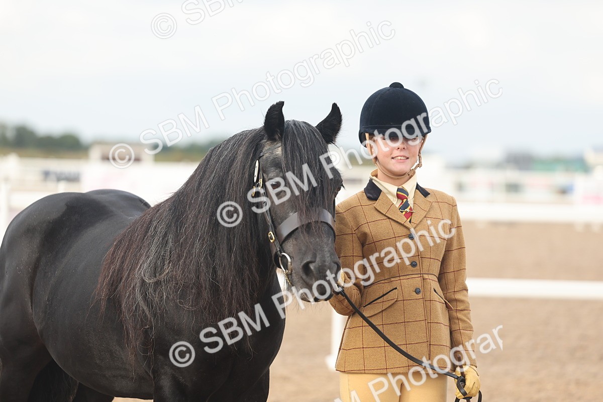 SBM_08575 - Class 29 - IH Veteran Pony