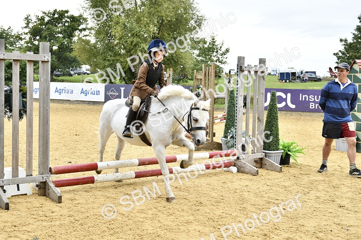 SBM_66172 - J2a mini Tour Junior Pony 30cm Championship