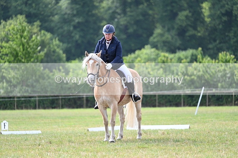 WJ7_2045 - Time 09:24 to 09:49