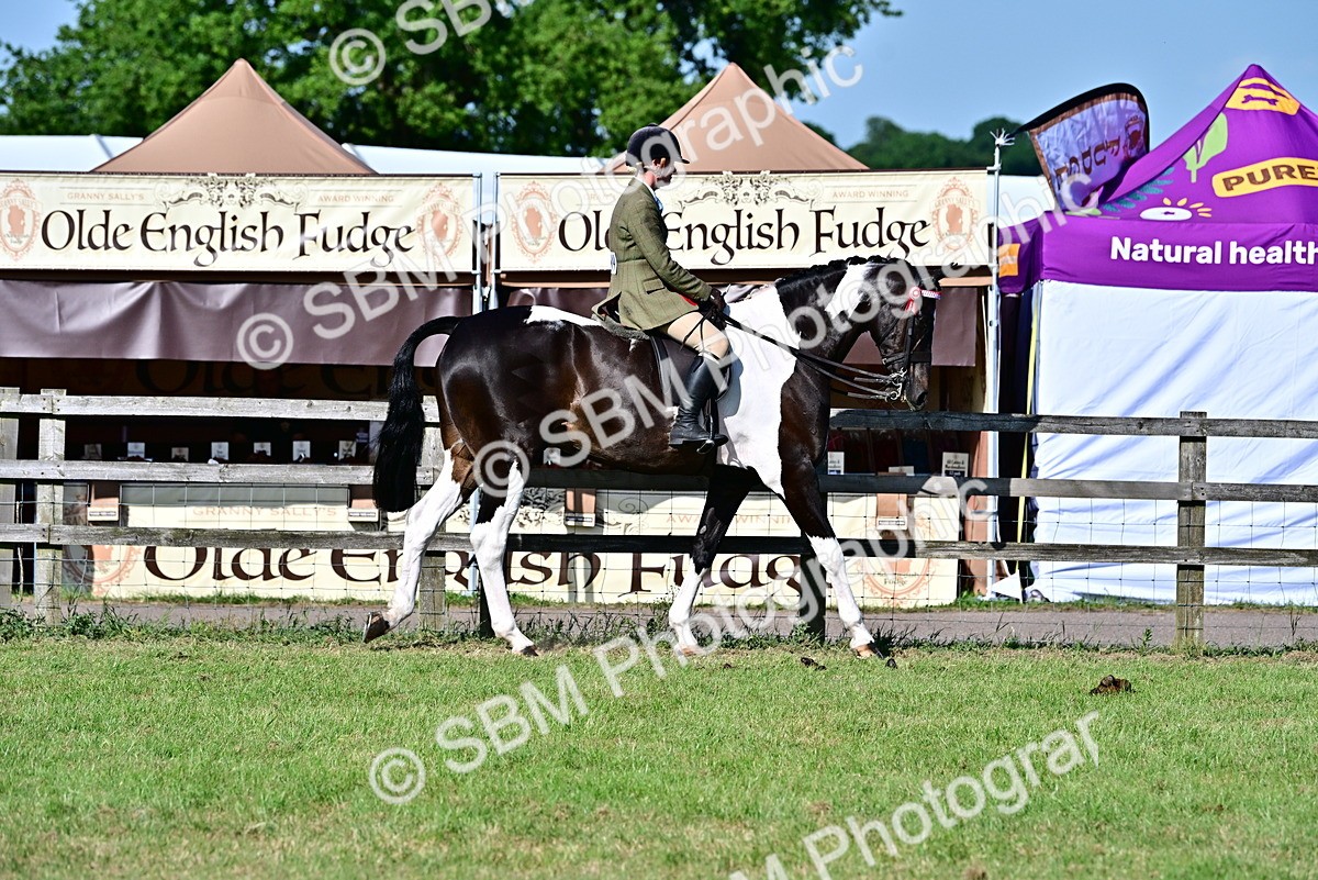 SBM_19558 - Class 101-102 - BSPS LIHS Performance Coloured Horse/Pony