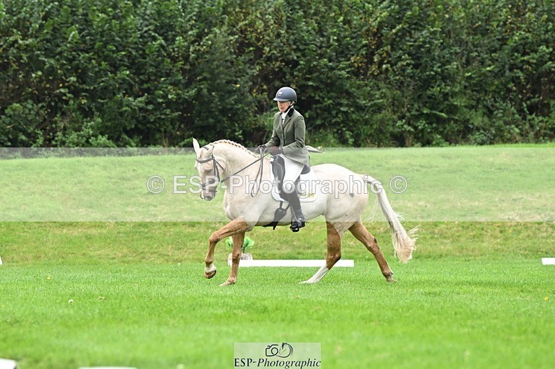 241024-125205-03536 - 519-Jane.Rogers-CORRIEVIEW.MERLIN.MAGIC