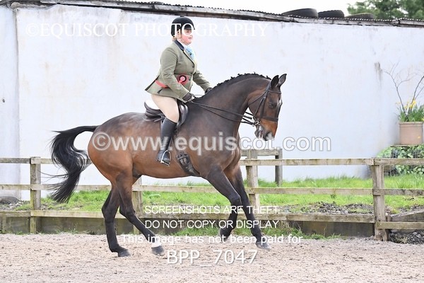 BPP_7047 - RING 1  (RIDDEN HORSES / IN HAND / VETERAN ETC)