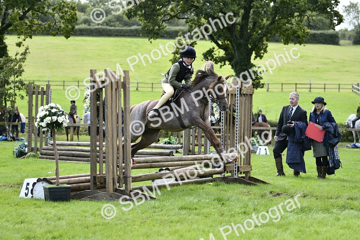 SBM_41254 - S32 - Mountain & Moorland Working Hunter Pony