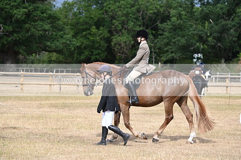 WJ6_7487 - Class 9 Tack and Turnout