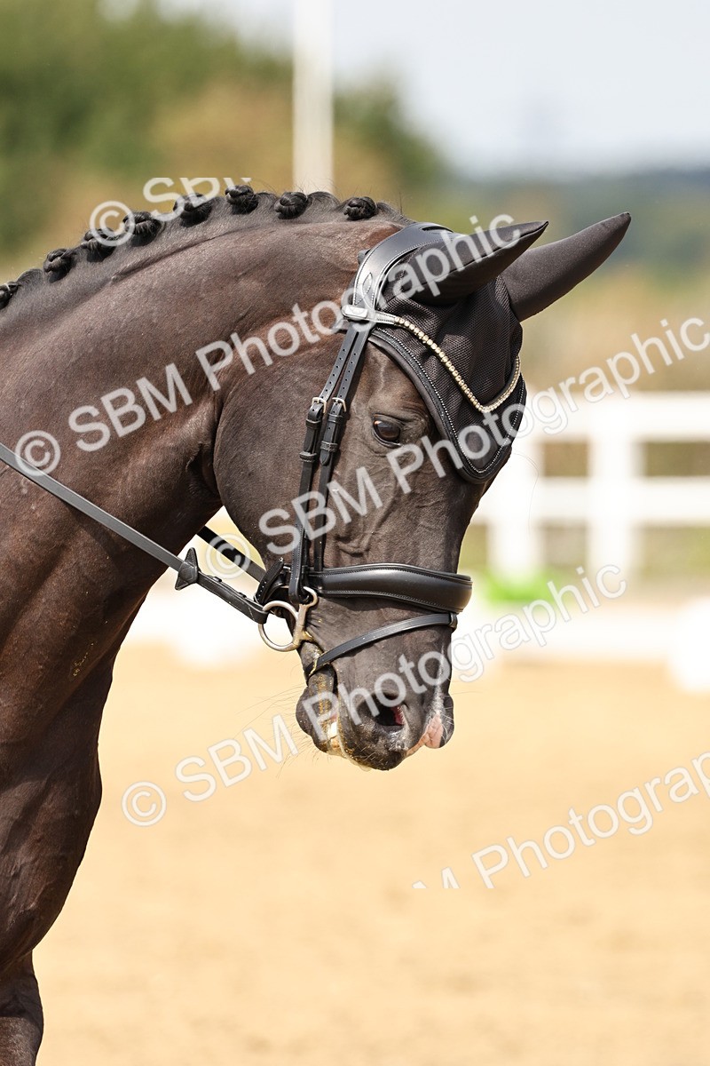 SBM_013143 - Class 3 - Novice 4 - 11.43-12.25