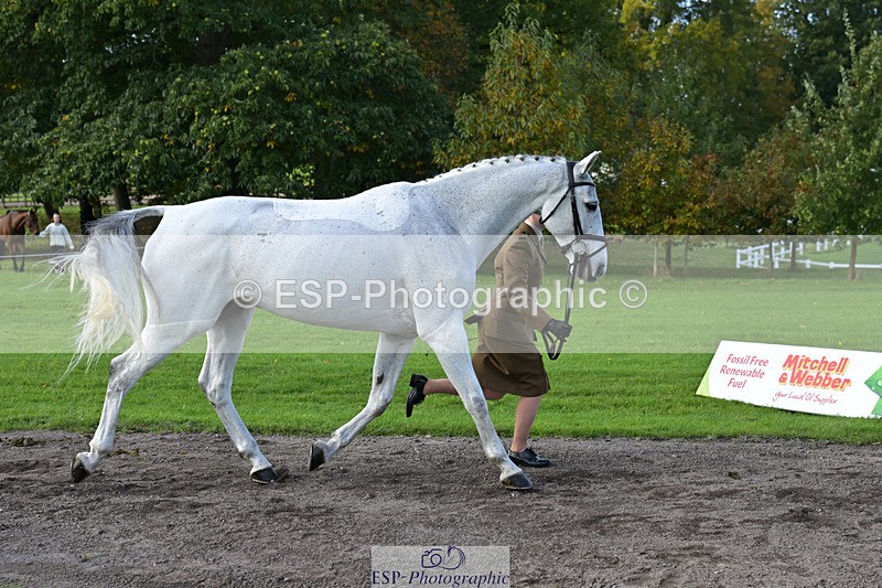 241023-131200-00127 - 007-Lucy.Wisher-VALDOCTRO