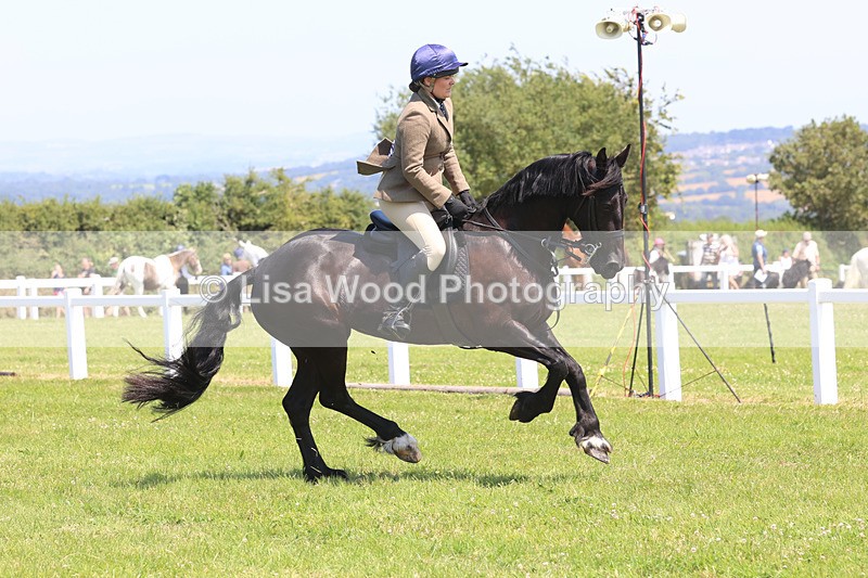 JPP_2812 - Class 21: Working Hunter 60cm