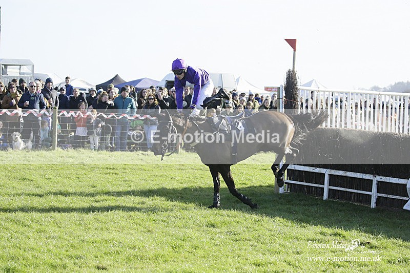 PtP 300122 133 - South Dorset Hunt - Point-to-Point Races 30/01/2022