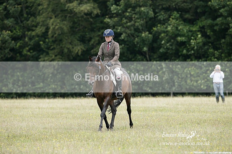 BVRC 030721 200 - Bourne Valley Riding Club Dressage 03/07/21