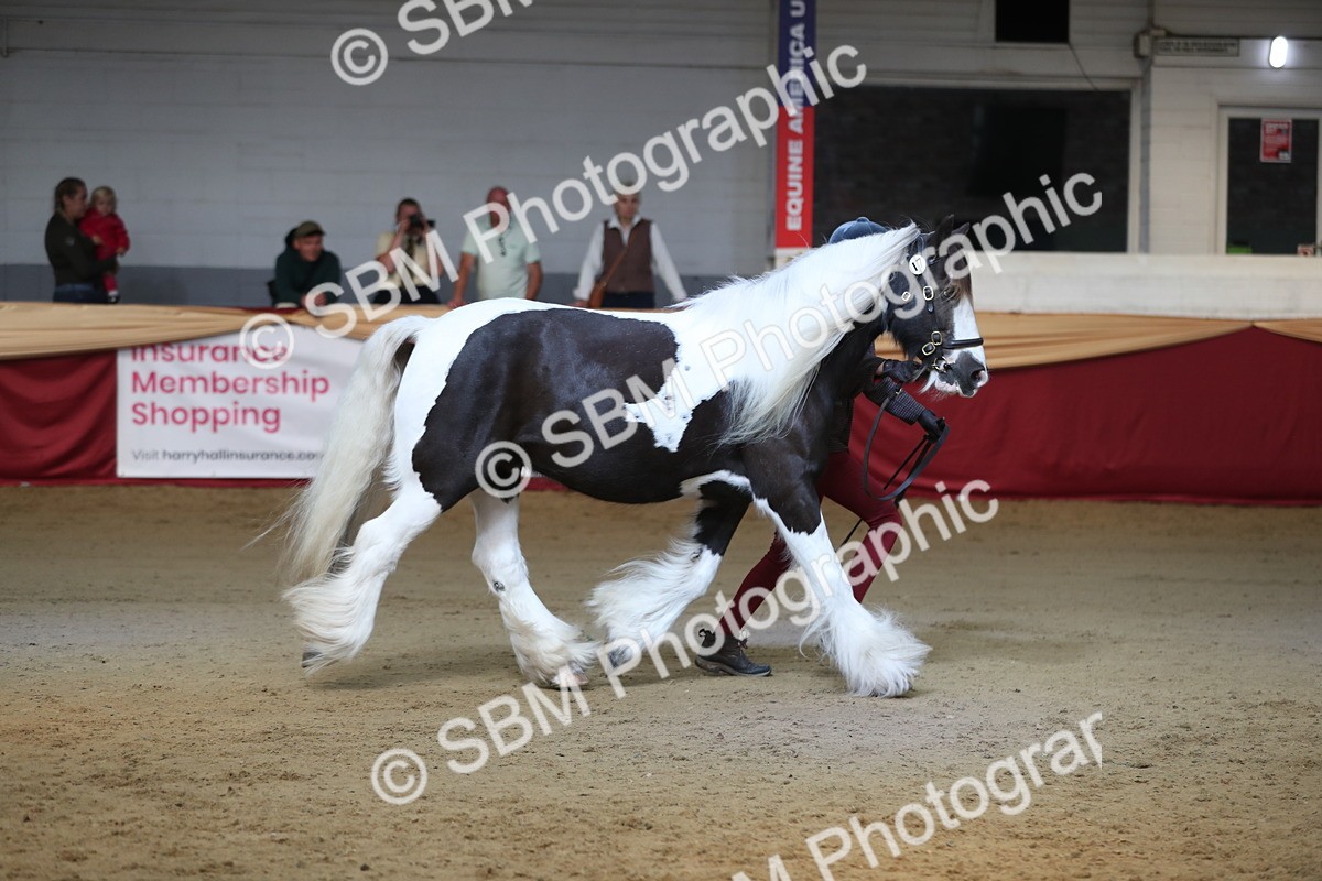 SBM_01359 - Class 3a Area IH Pre Vet