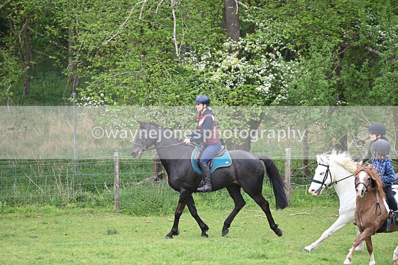 WJ6_2996 - A Camera