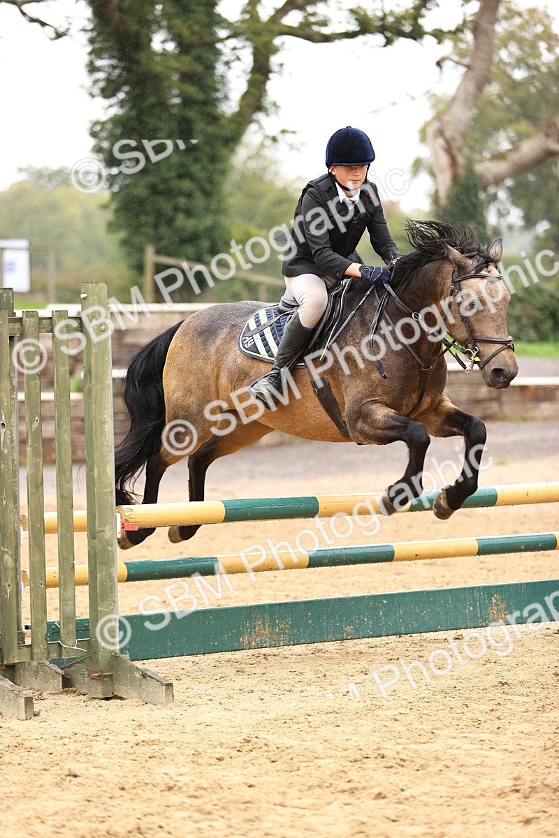 SBM_70014 - Supreme Championship 80cm 85cm