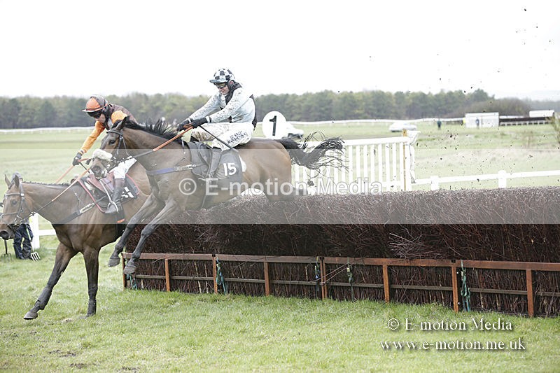 PtP 150320 0221 - New Forest Point-to-Point Larkhill 15/03/20