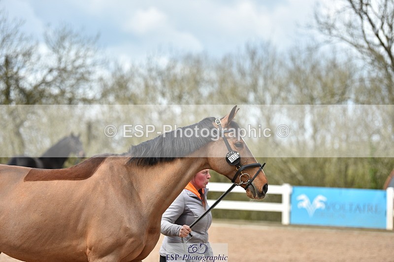 240417A-150220-00711 - 3pm to 4pm