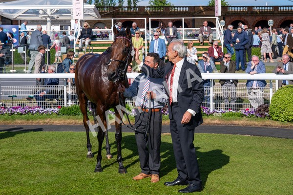160525-Race 6-Bowmark-6630 - Race 6 4.55pm Darley EBF 'Confined' Novice Stakes