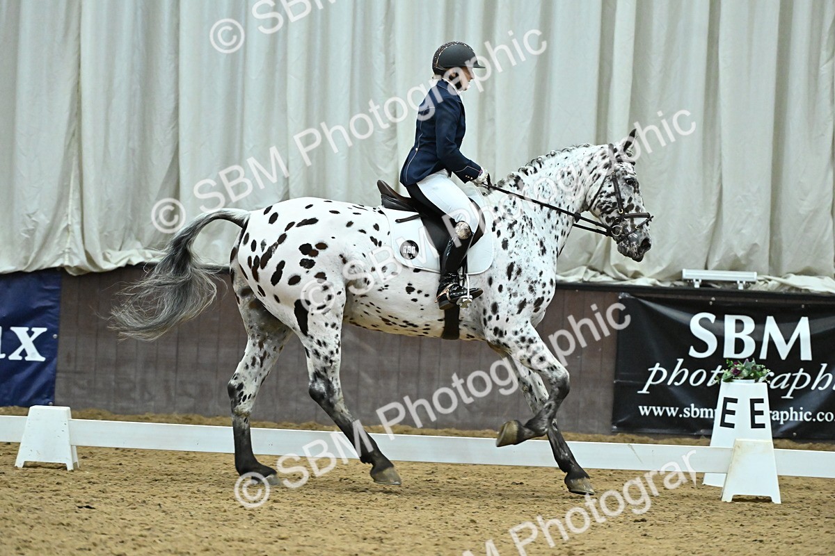 SBM_007502 - Class 81 - Novice 3