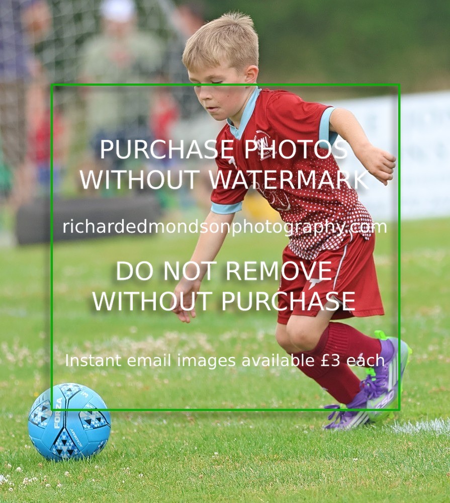533A1876 - Westgate Wanderers Under 8's
