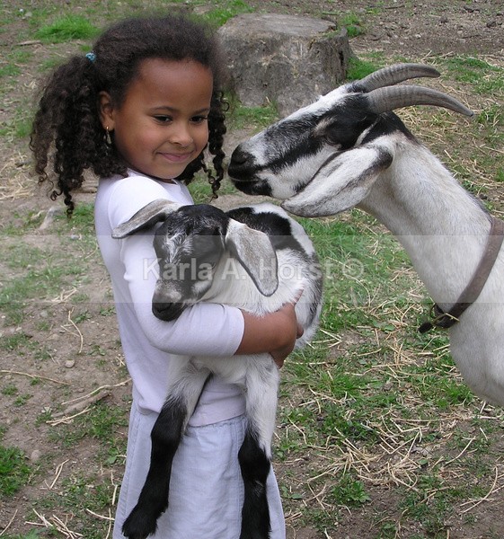 Abby and Goats - Photos