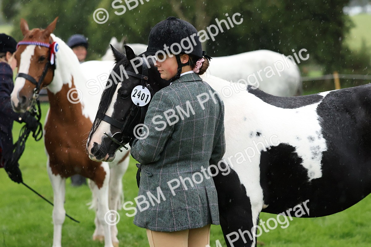 SBM_35307 - S10 - Best In Hand Horse & Pony