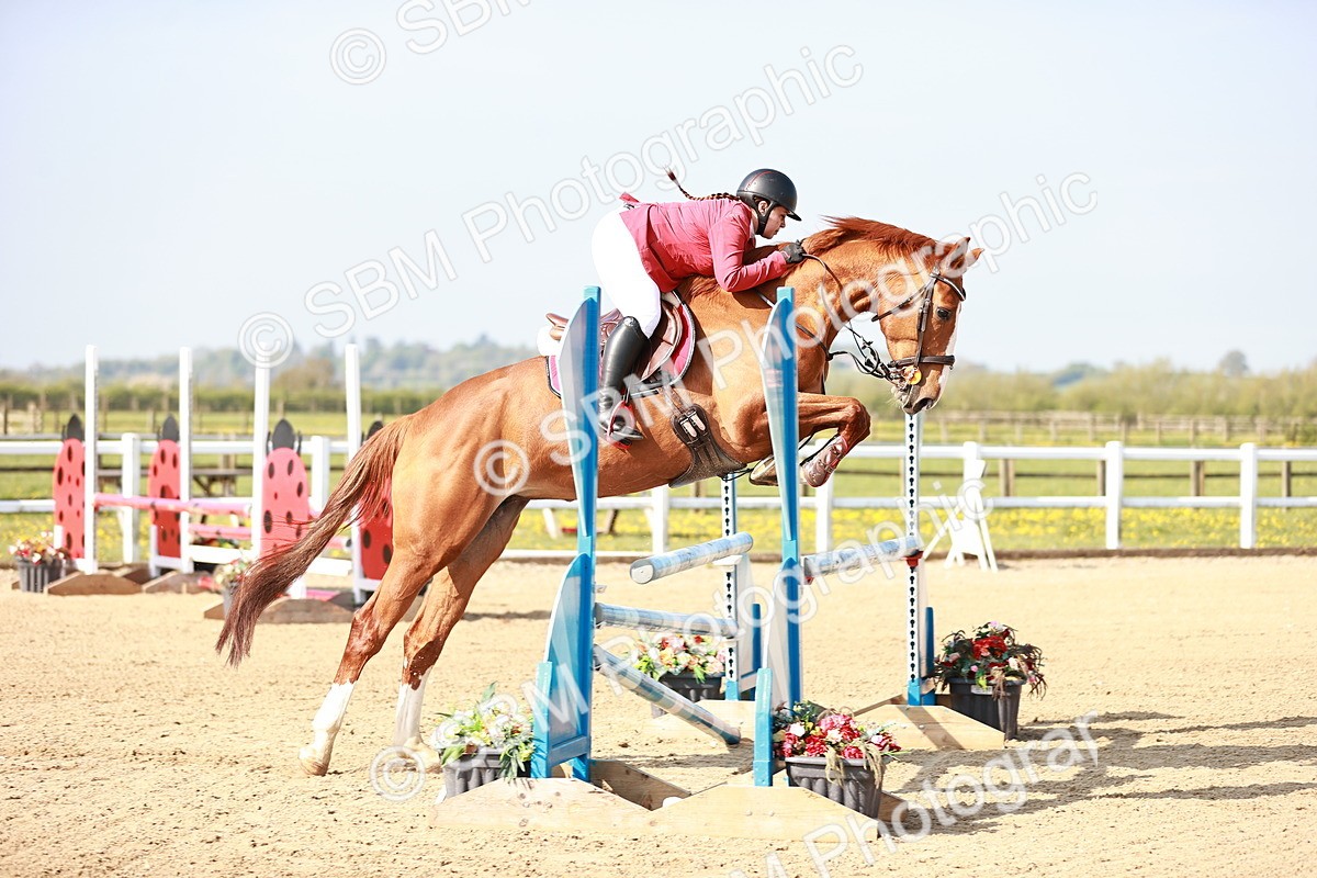  - Class 21 - Senior British Novice - 90cm
