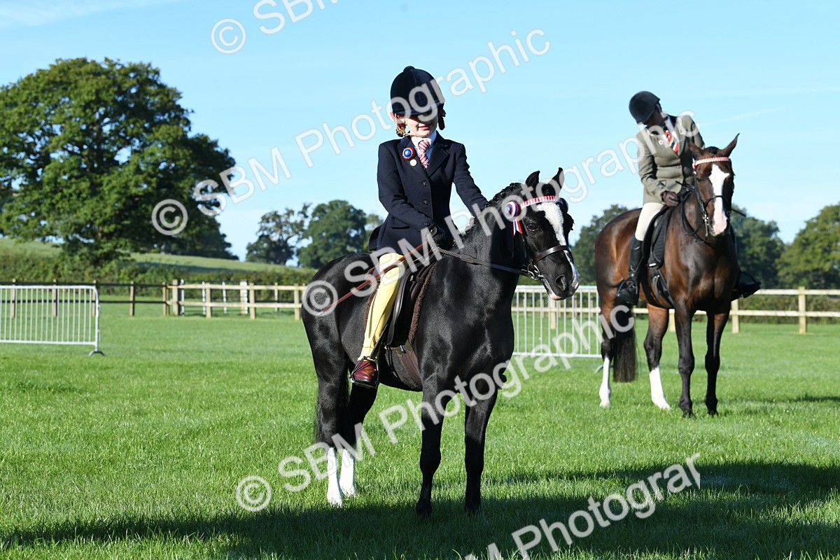 SBM_34034 - S16 - Condition & Turnout - Ridden