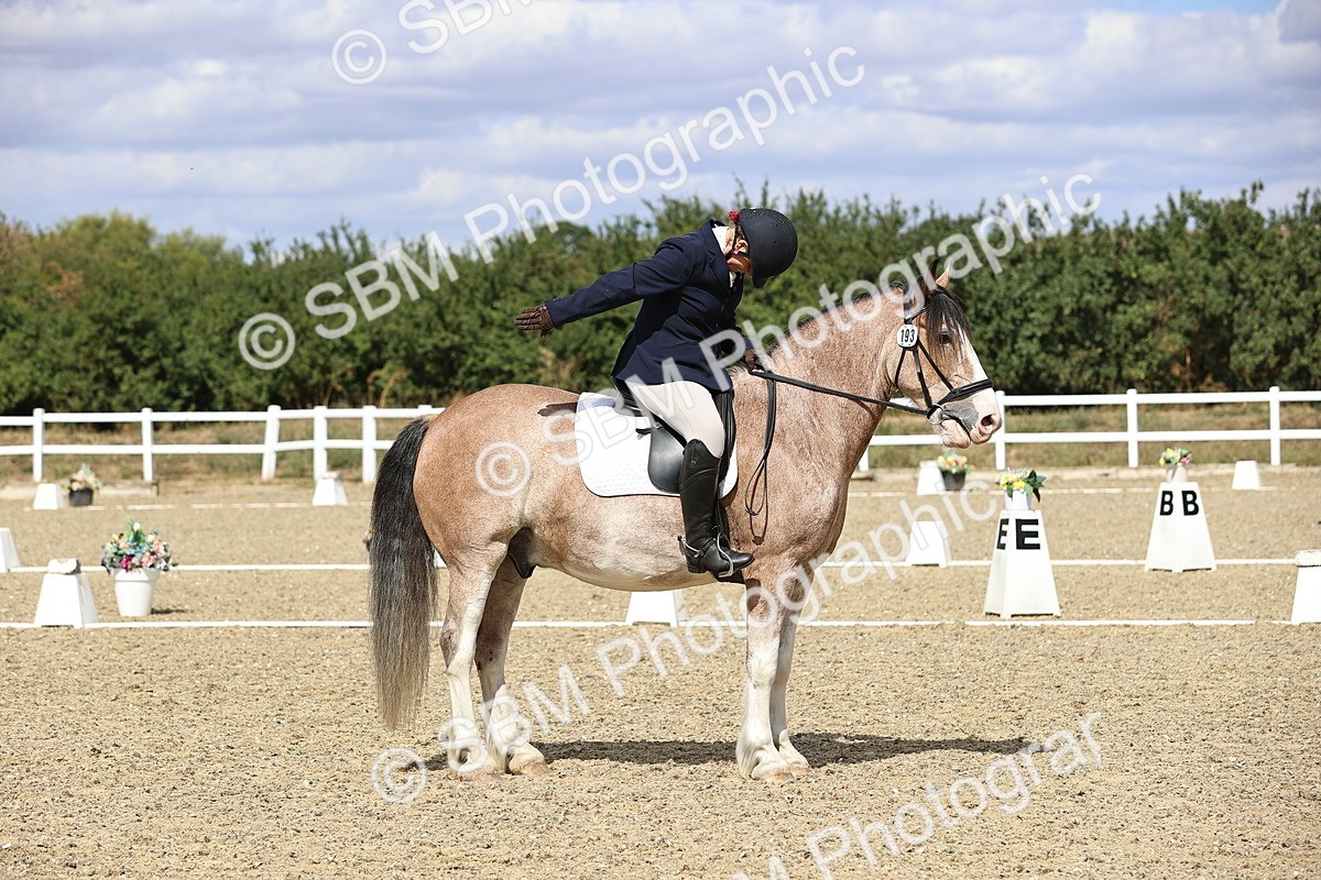 SBM_014555 - Class 5 - E5 Bronze 13.30.14.18