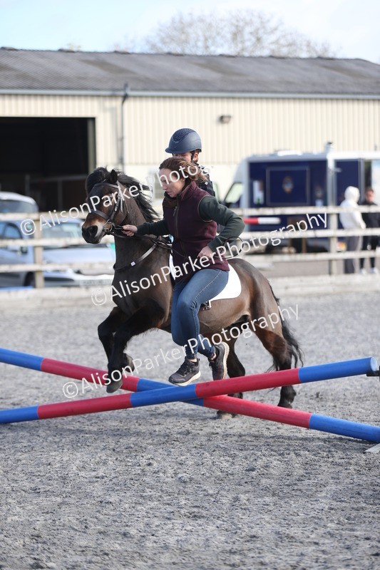 20260412-0048 - Show Jumping