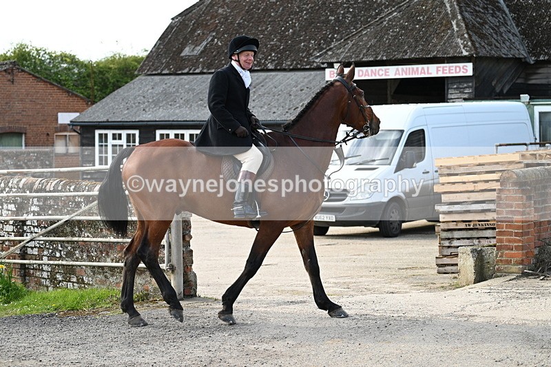 WJ7_9967 - Walk Home