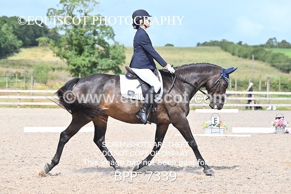 BPP_7339 - NOVICE TEST 2