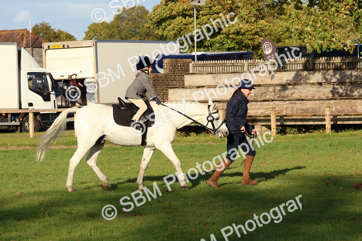 SBM_53031 - S29 - Mature Veteran Ridden