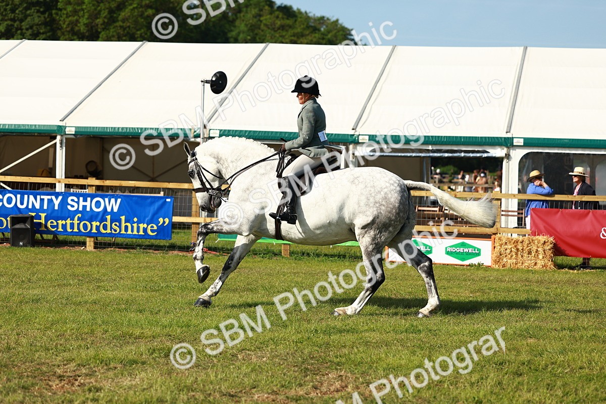 SBM_11792 - Class 66-69 - RIHS Ridden Hunters Inc Small Hunter