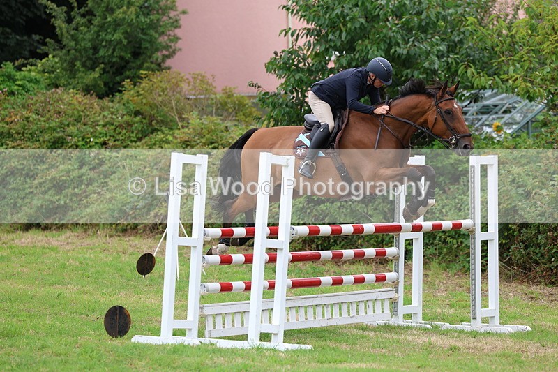 3E7A8496 - Class 8: Senior Foxhunter/1.20m open