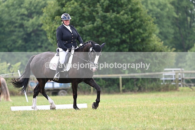 WJ7_6672 - Time 12:45 to 13:01