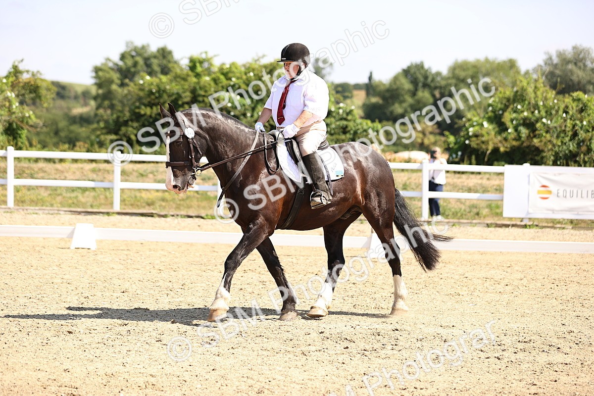 SBM_003616 - Intro 2