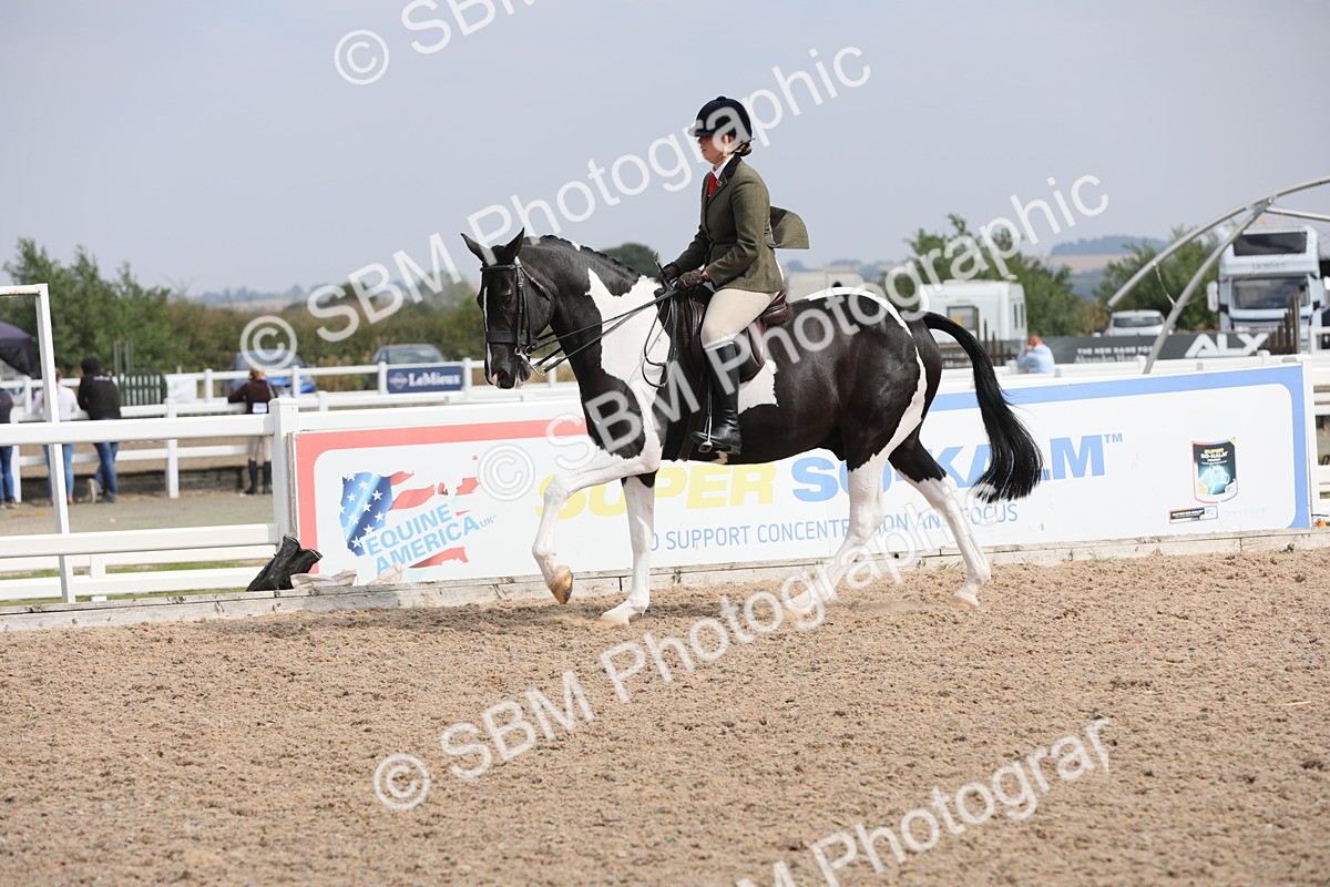SBM_13364 - Class 308 Ridden Coloured Horse