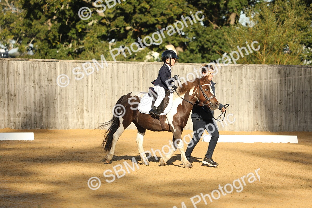 SBM_33693 - D26 - Starers - Lead Rein