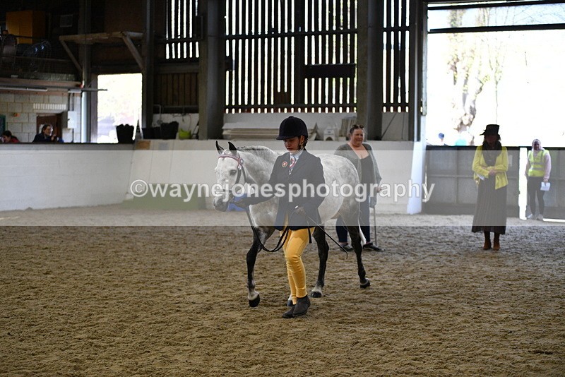 WJ5_4478 - Class 3 Part Bred In hand