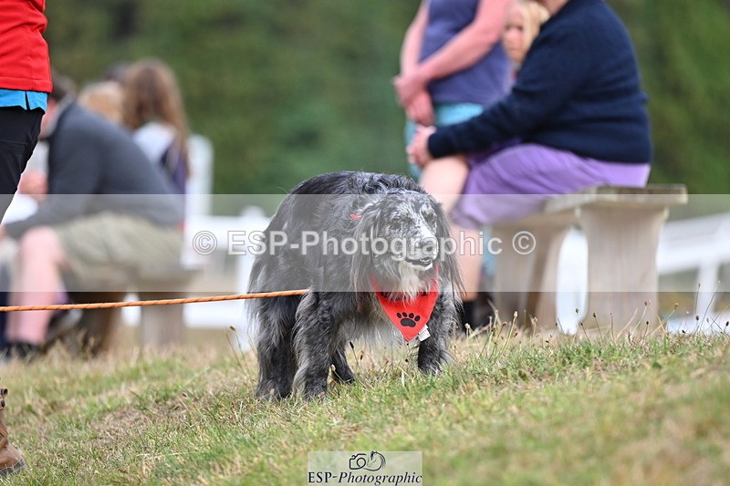 250820A-173103-11321 - 50cm, 16.45 to 18.00