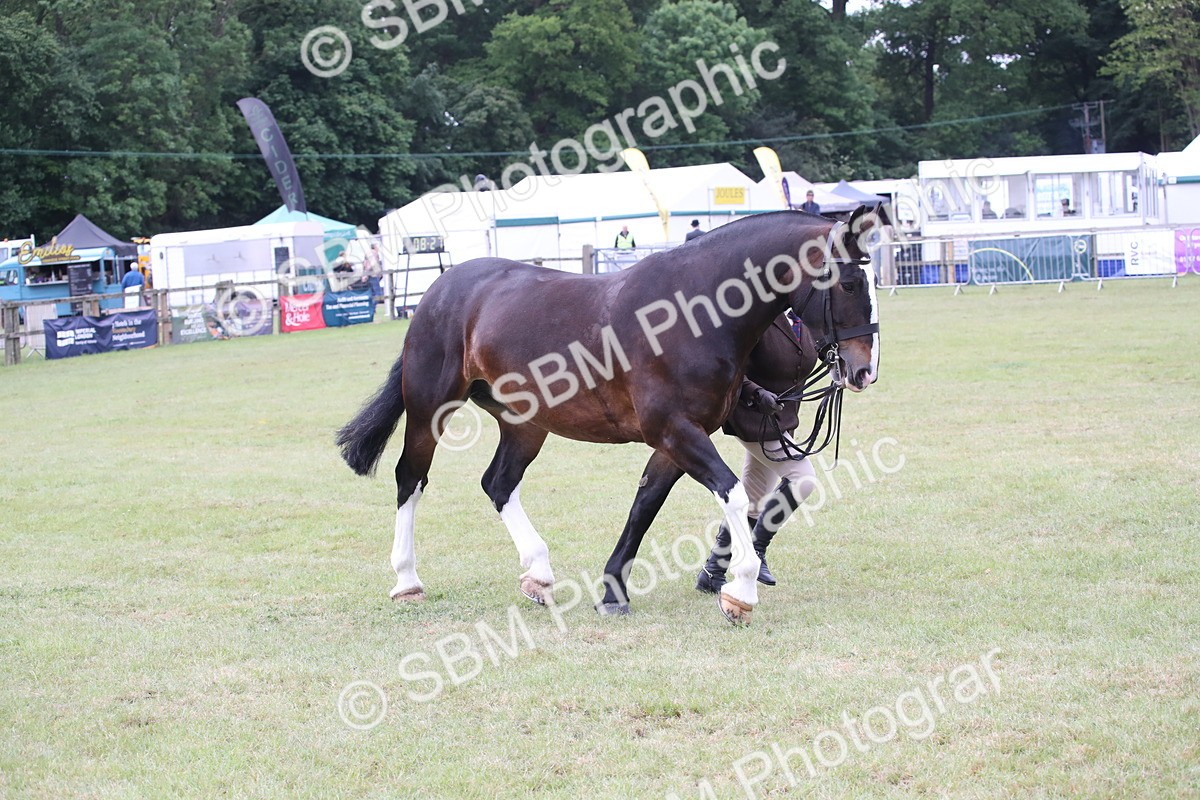 SBM_11270 - Class 92-93 - LIHS BSHA Rising Star Cobs