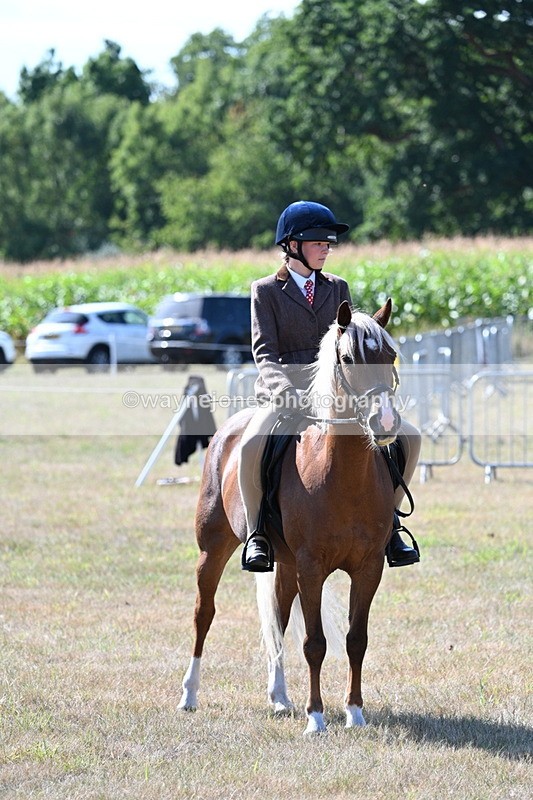 WJ7_3587 - Class 9 Mountain & Moorland Ridden