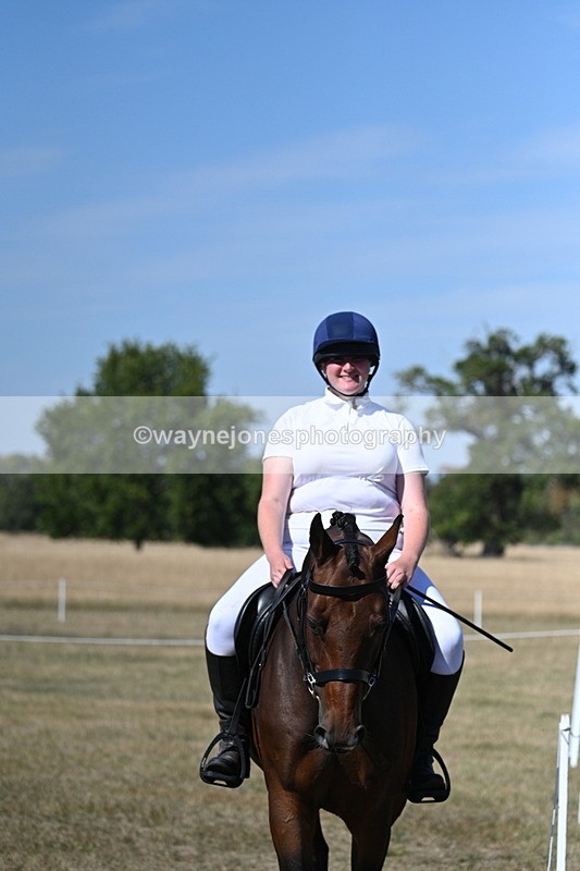 WJ7_1528 - Class 42 Most Handsome Gelding