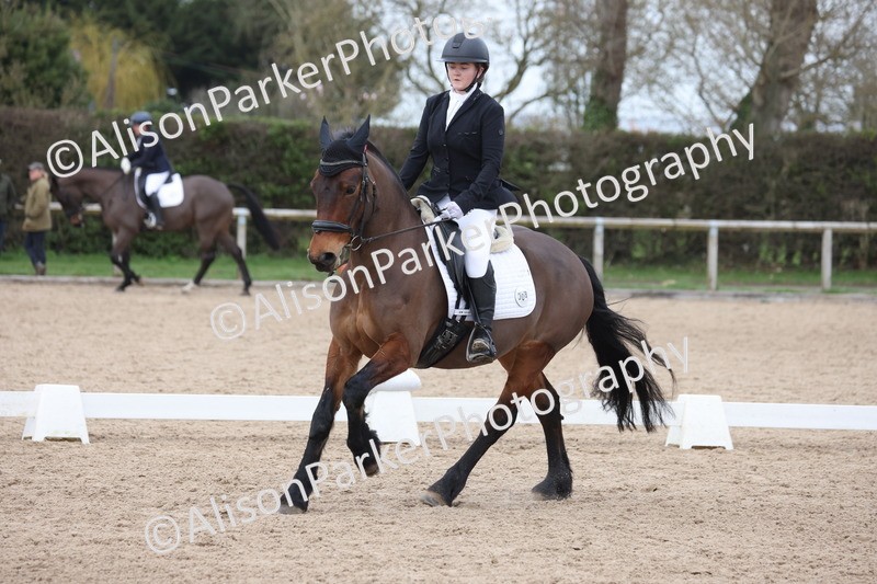 20260301-0956 - Class 6 - Elementary 5