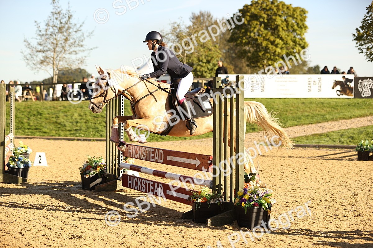 SBM_34614 - J38 - Senior 80cm Championship