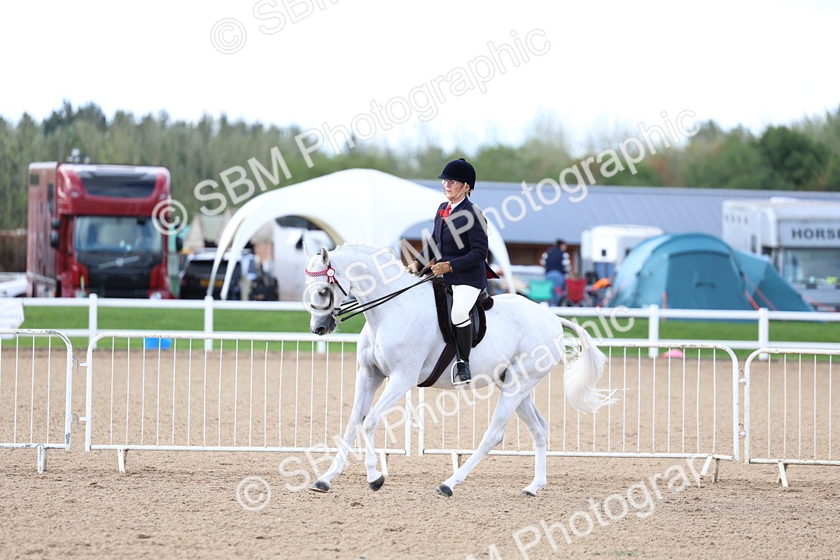 SBM_10124 - Class 304 - Ridden Part Bred Horse Pony