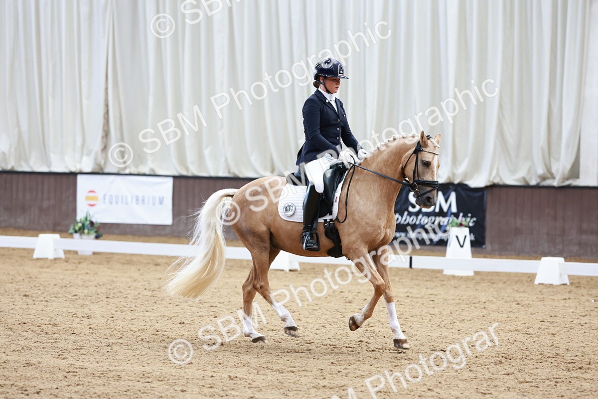 SBM_017331 - Class15 - FEI Pony