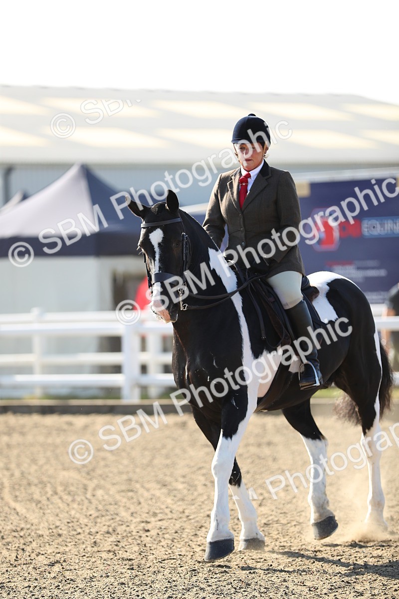 SBM_01186 - Class 42 Ridden Veteran